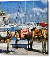 Donkeys Waiting For A Ride Canvas Print