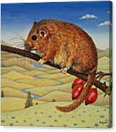 Dormouse Number Two, 1994 Canvas Print