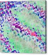 Dotty Abstract 4 Canvas Print