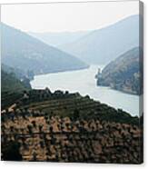 Douro River Canvas Print