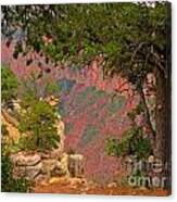 Down Into The Grand Canyon Canvas Print