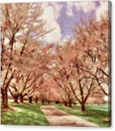 Down The Cherry Lined Lane Canvas Print