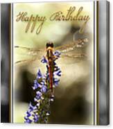Dragonfly Birthday Card Canvas Print