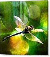 Dragonfly In Sunlight - Yellow Sunlight Canvas Print