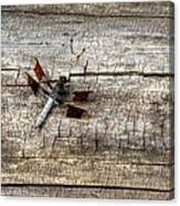 Dragonfly On Wood Canvas Print