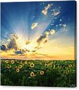 Dreamscape Ii Canvas Print