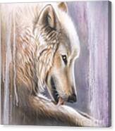 Dreamscape Wolf Iiii Canvas Print