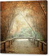 Dreamy Pathway In Autmnal Colours Canvas Print