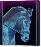 Dressage Horse Profile Canvas Print