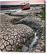 Dried Cracked Mud Canvas Print