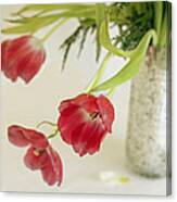 Drooping Tulips Canvas Print