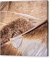 Droplet On A Quill Canvas Print