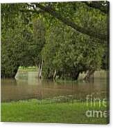 Drowning Trees Canvas Print