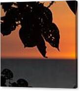 Dry Season Sunset Canvas Print