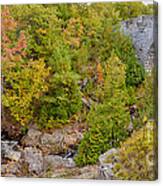 Duck Brook And Duck Bridge In Autumn Acadia National Park Maine Canvas Print
