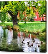 Ducks On Pond Canvas Print