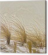 Dune Wisps Canvas Print