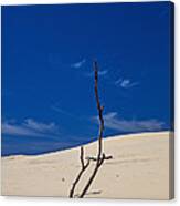 Dune With Dead Trees Canvas Print