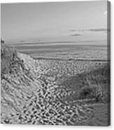 Dunes Walk Canvas Print