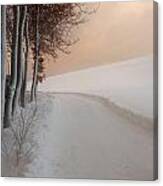 Dusk At The Edge Of The Forest Canvas Print