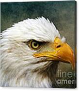 Eagle Art Canvas Print