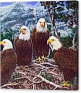 Eagles Canvas Print