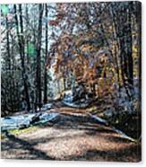 Early Snow Dusting Canvas Print
