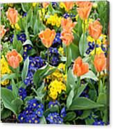 Early Spring Canvas Print
