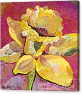 Vibrant Yellow Daffodil Collage Canvas Print