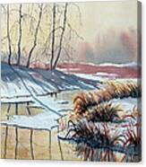 Early Spring On Strensall Common Canvas Print