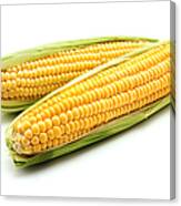 Ears Of Maize Canvas Print