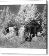 East Texas Cabin Canvas Print