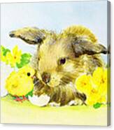 Easter Bunny With Primrose And Chick Canvas Print