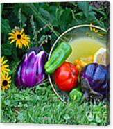 Eggplant Still Life Canvas Print