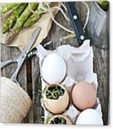 Eggs And Asparagus Canvas Print