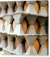 Eggs Canvas Print