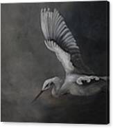 Egret In Flight Canvas Print