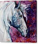 Elegant Horse Canvas Print