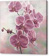 Elegant Orchids Canvas Print