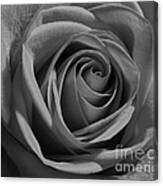 Elegant Rose Ii Canvas Print