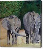 Elephant Family Gathering Canvas Print