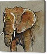 Elephant Head African Canvas Print