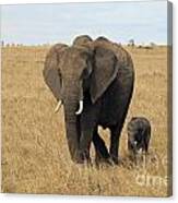 Elephant Mom And Child 3 Canvas Print