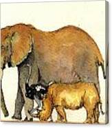 Elephant Ostrich And Rhino Canvas Print