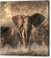 Elephant Stampede Canvas Print