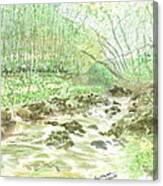 Enchanted Stream - Sketch Canvas Print