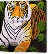 Endangered Bengal Tiger Canvas Print