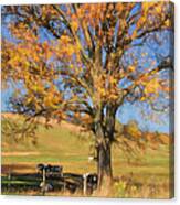 Enjoying The Autumn Shade Canvas Print