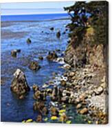 Esalen Canvas Print