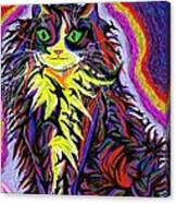 Espacekatt Canvas Print